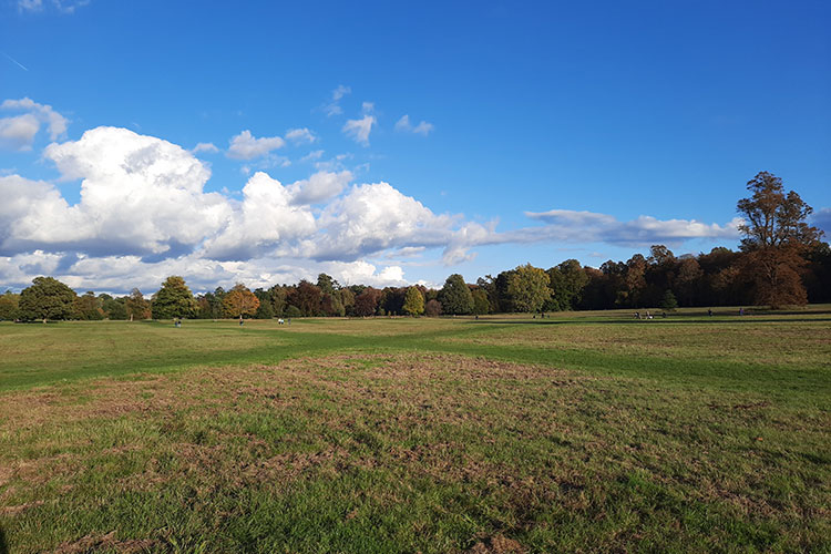Nonsuch Park today